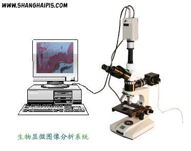 �����@΢�D�����ϵ�y